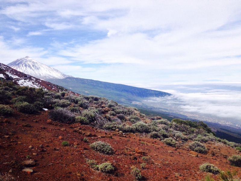 El Teide