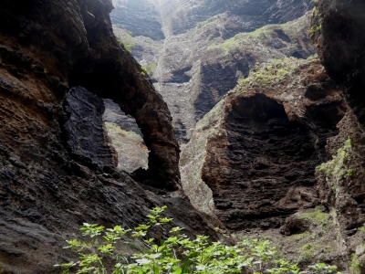 Masca