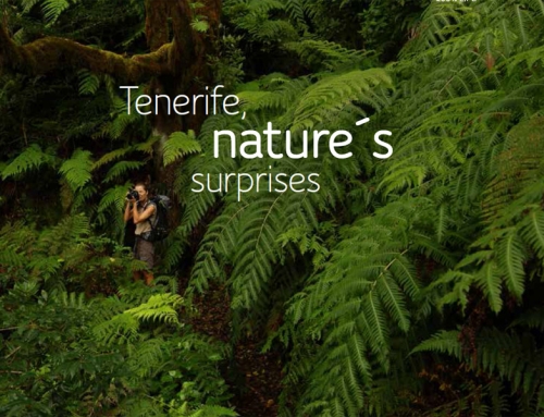 Tenerife, nature´s surprises