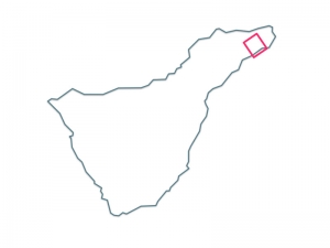 Anaga_Pijaral Pijaral