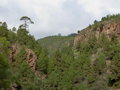 Barranco del Risco El Muerto