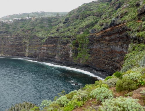 Paseo Litoral del Sauzal