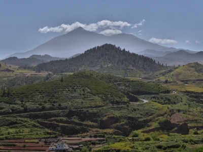 Teno - Monte del Agua